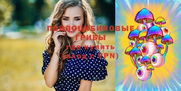 сатива Мегион