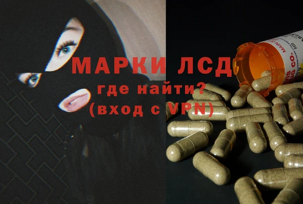 сатива Мегион