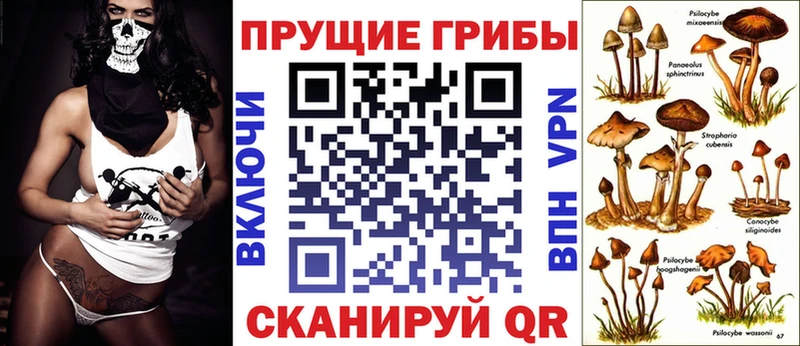 Псилоцибиновые грибы Psilocybe  Энем 